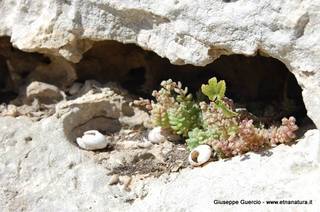 ntana Paradiso-15-05-2014 17-40-03